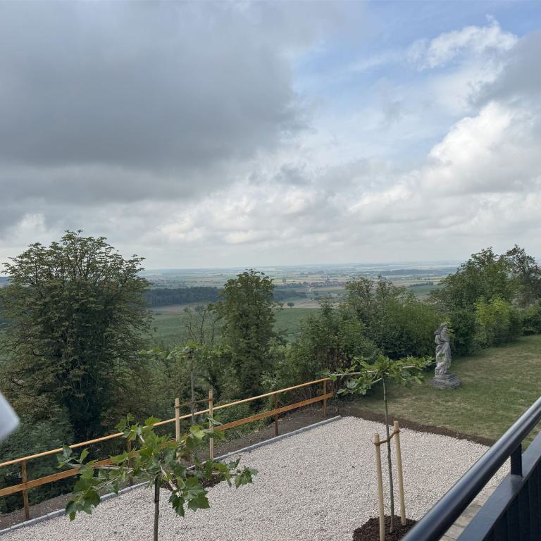 windsheim (11)