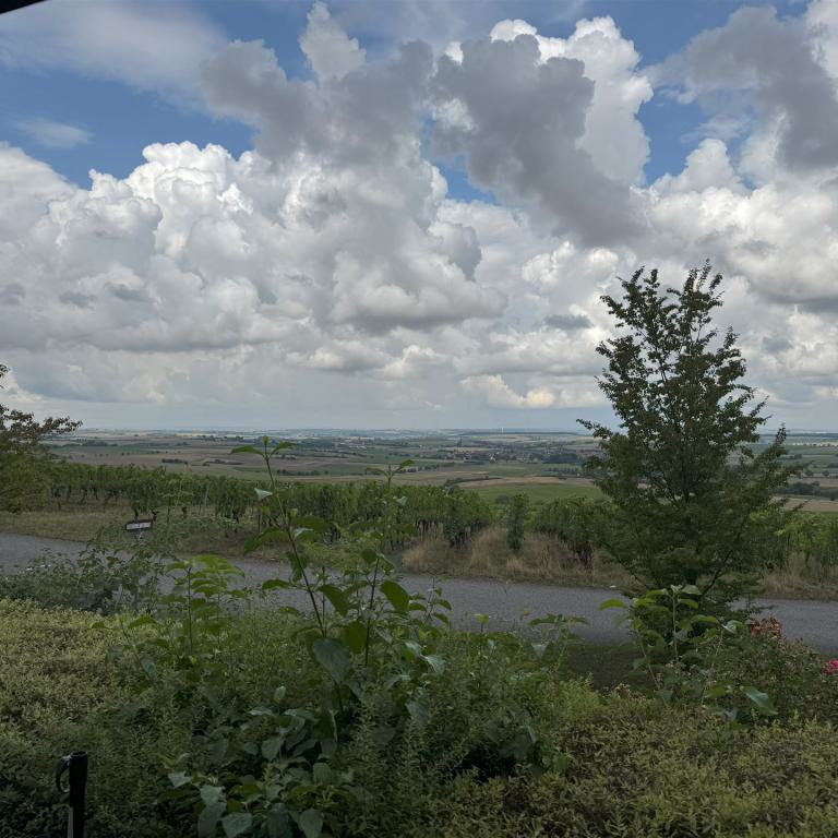 windsheim (20)